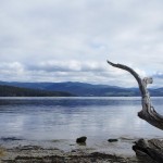 Tasmania, from Bruny