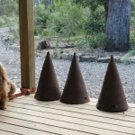 Bruny Island Cheese Factory