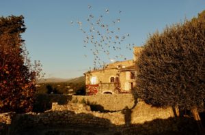 Saint Paul de Vence