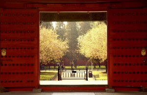 Forbidden City