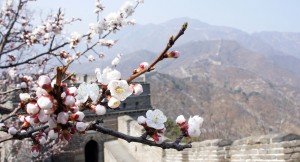 Great wall of China