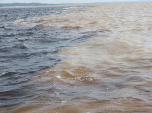 Rio Negro meeting The Amazon