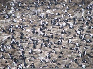 Tierra del Fuego