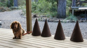 Bruny Island Cheese Factory