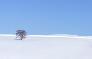 Nagano