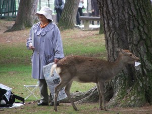 Nara