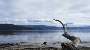 Tasmania, from Bruny