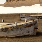 Old whaling boats