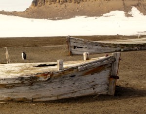 Old whaling boats