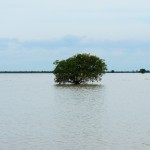 Tonlé Sap