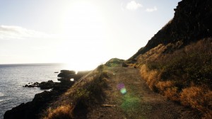 Ka'ena Point