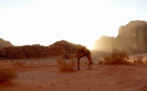 Wadi Rum