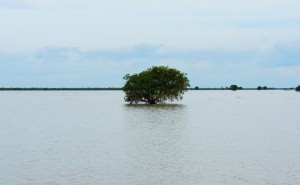 Tonlé Sap